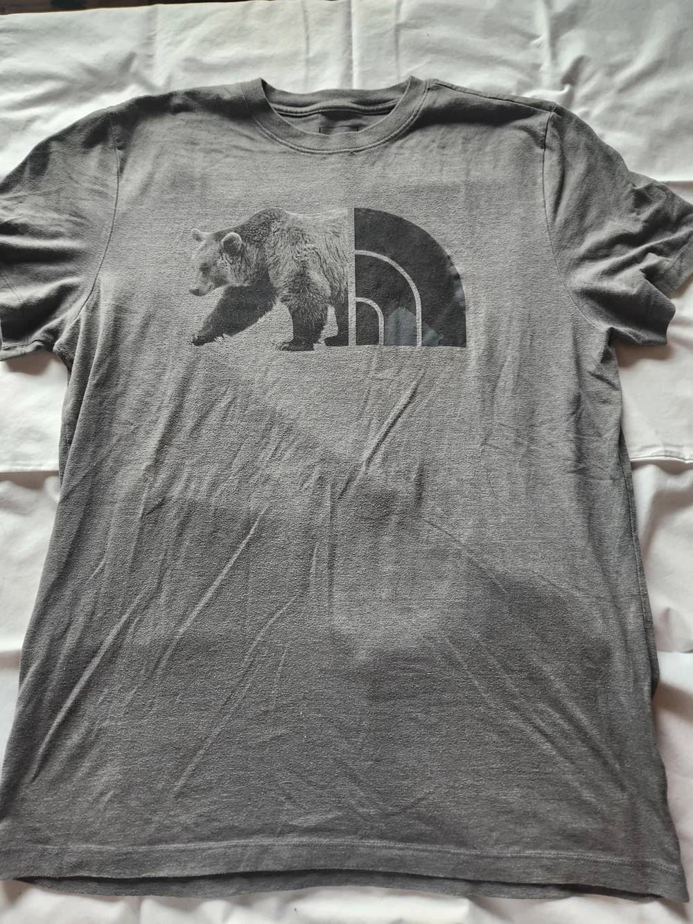 The North Face Men’s Gray Bear Logo T-Shirt